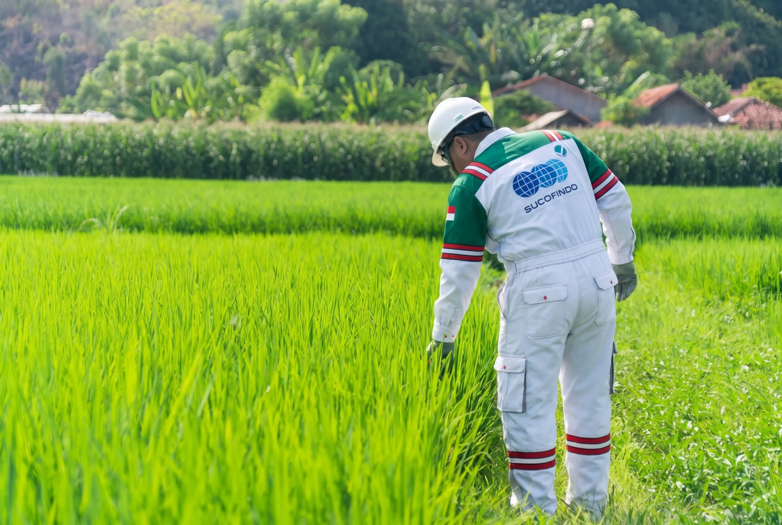 top-agriculture-tic-company-sucofindo